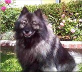 Keisha