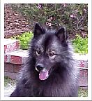 Tucker