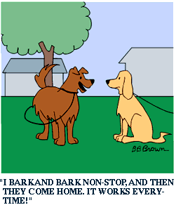 BARKN.gif - 10577 Bytes
