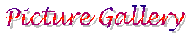picture.gif - 2253 Bytes